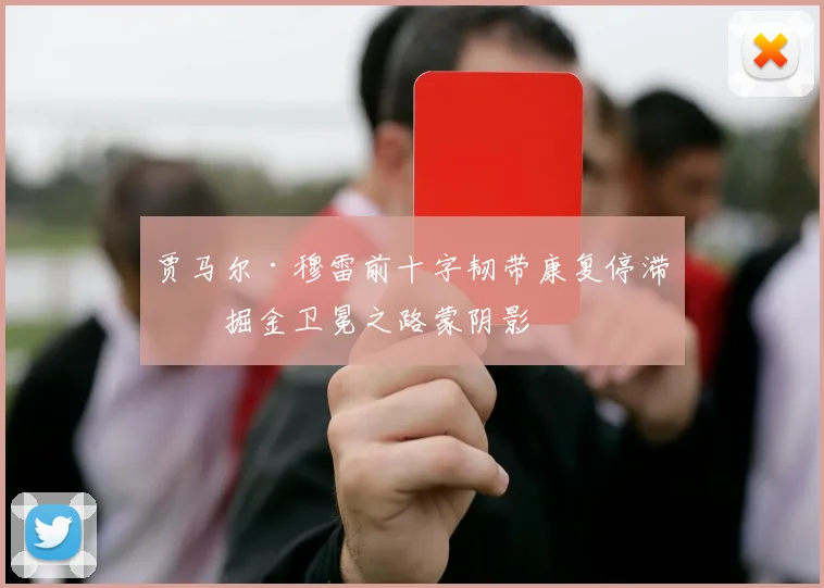 贾马尔·穆雷前十字韧带康复停滞，掘金卫冕之路蒙阴影