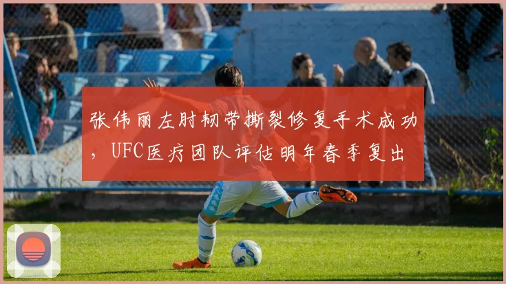 张伟丽左肘韧带撕裂修复手术成功，UFC医疗团队评估明年春季复出